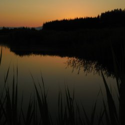 Krasny podvecer nad jezirkem v Suche 